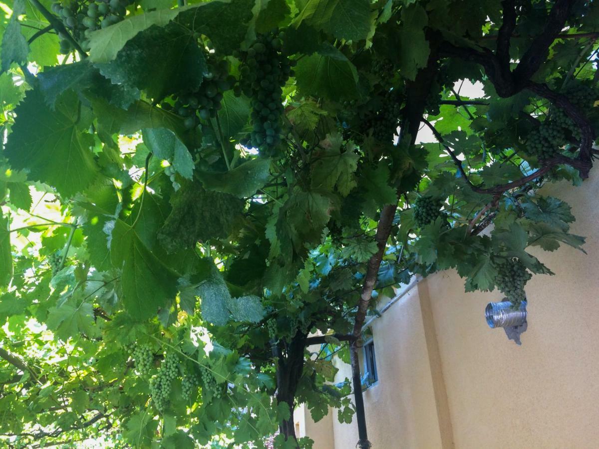 Guest House Gelit Mtskheta Exterior photo
